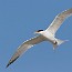 thumbs/IMG_2301.jpg